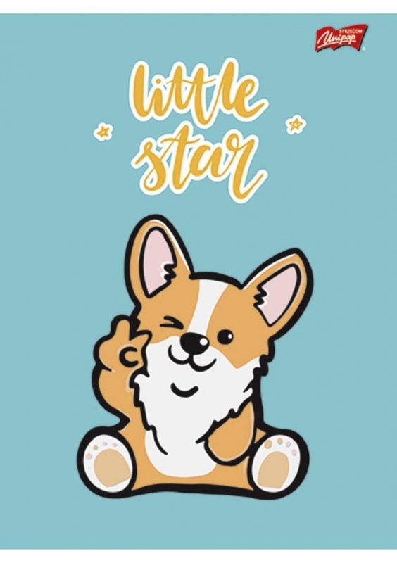 zezyt a5 16k 3linia dwukol